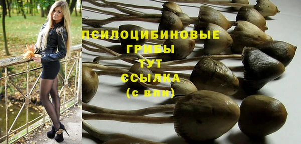 герыч Бугульма