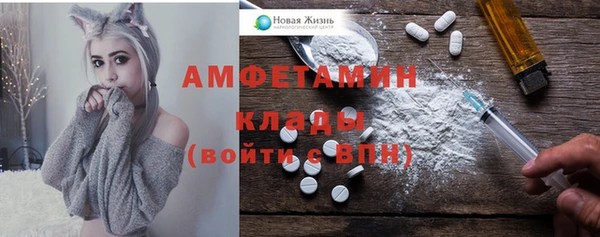 дмт Богородицк