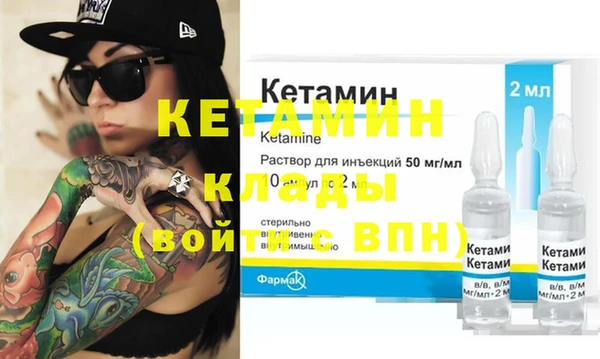 шишки Бородино