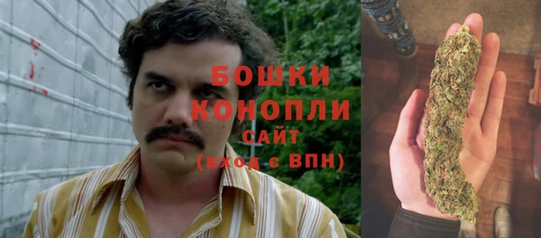 шишки Бородино